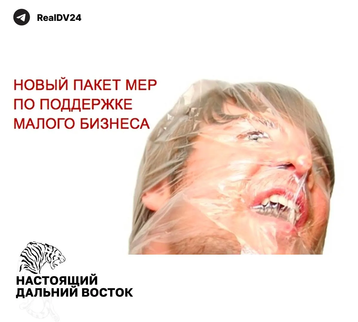 Федеральная налоговая служба рекомендовала регионам увеличить налоговые поступления — от расширения налогообложения недвижимости по кадастру до пересмотра льгот и повышения транспортного налога.