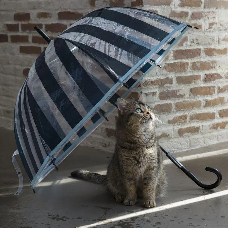 Малооблачно, возможен небольшой дождь с грозой; днём до +22 °C. Рекомендуется взять зонт.