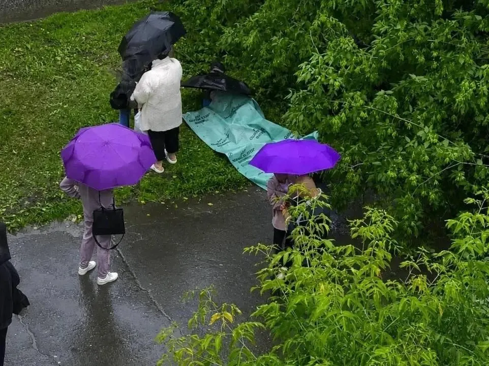 Во время ливня во дворе на улице Крисанова упавшее дерево придавило 10‑летнего ребёнка; он доставлен в больницу в состоянии средней тяжести, по факту возбуждено уголовное дело.