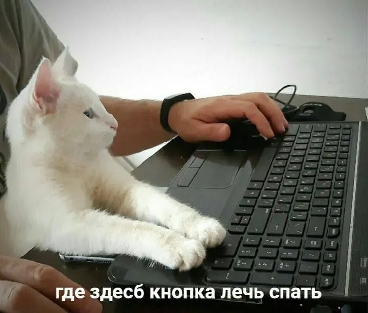 Малооблачно; местами прогнозируются кратковременные дожди и грозы. Днём температура поднимется до +28 °С.