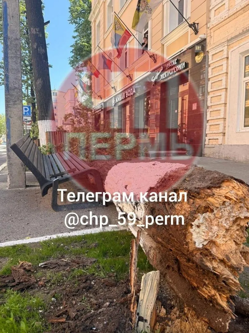 Утром на улице Советской сильный порыв ветра повалил старую липу, которая задела проходящих женщину и ребёнка. Женщина отказалась от госпитализации, ребёнку назначено амбулаторное лечение.