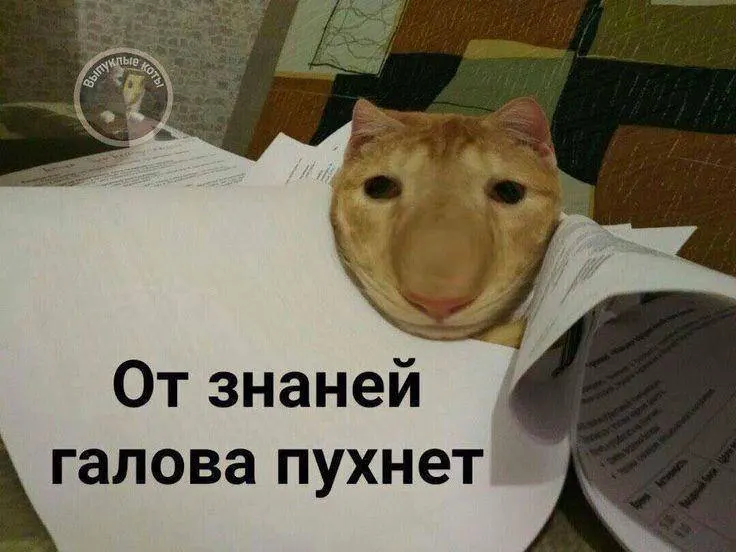Министр спорта рассказал, что в этом году тест по управлению небольшим дроном введут в пробном режиме, а с следующего года знак ГТО по этому нормативу станет доступен по всей стране — он может дать до 10 баллов к результатам экзамена.