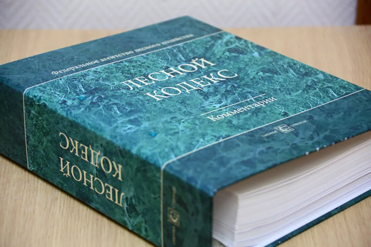 Лесной кодекс 2006 года претерпел десятки поправок; эксперт считает, что вместо дальнейших правок нужен новый, гораздо более простой и компактный документ.