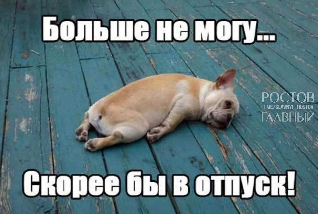 Депутаты предлагают повысить минимальную продолжительность ежегодного оплачиваемого отпуска с 28 до 35 дней, чтобы компенсировать выходные, которые сейчас входят в отпуск, и снизить риск выгорания.