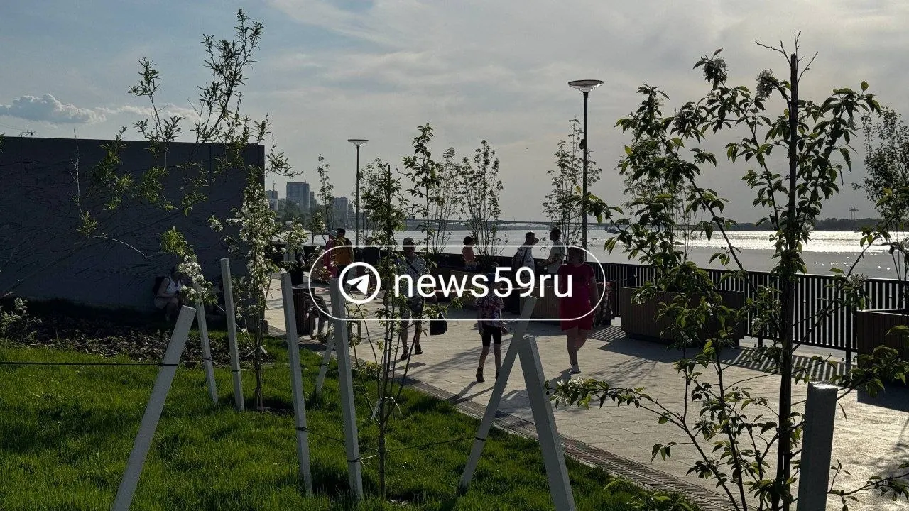 На набережной Перми спасатели в лодке отогнали лося от берега и направили его через реку к правому берегу. Операция длилась около 45 минут, после чего оцепление сняли, полицейские продолжили дежурство.