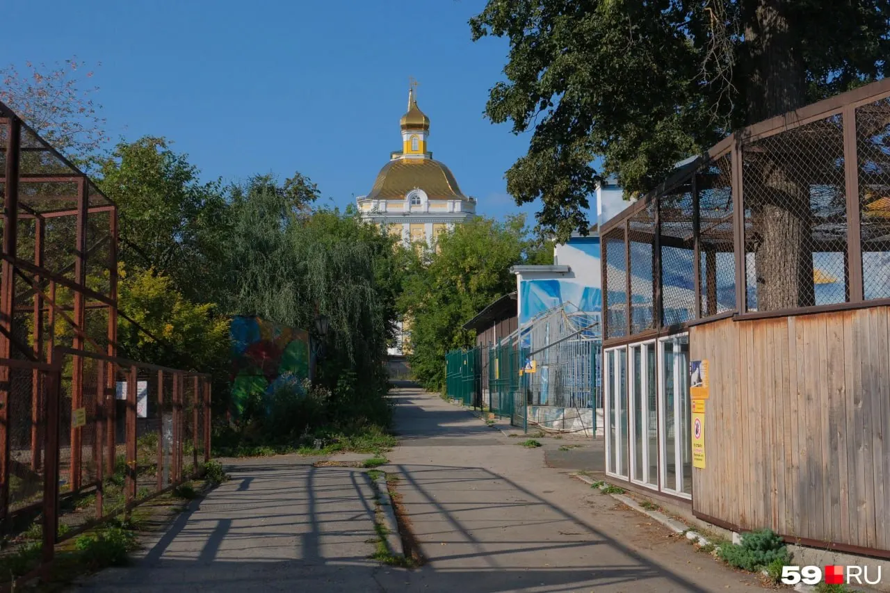 При раскопках у Спасо‑Преображенского собора археологи нашли захоронение, которое по одежде и архивным снимкам, вероятно, принадлежит профессору Александру Генкелю.