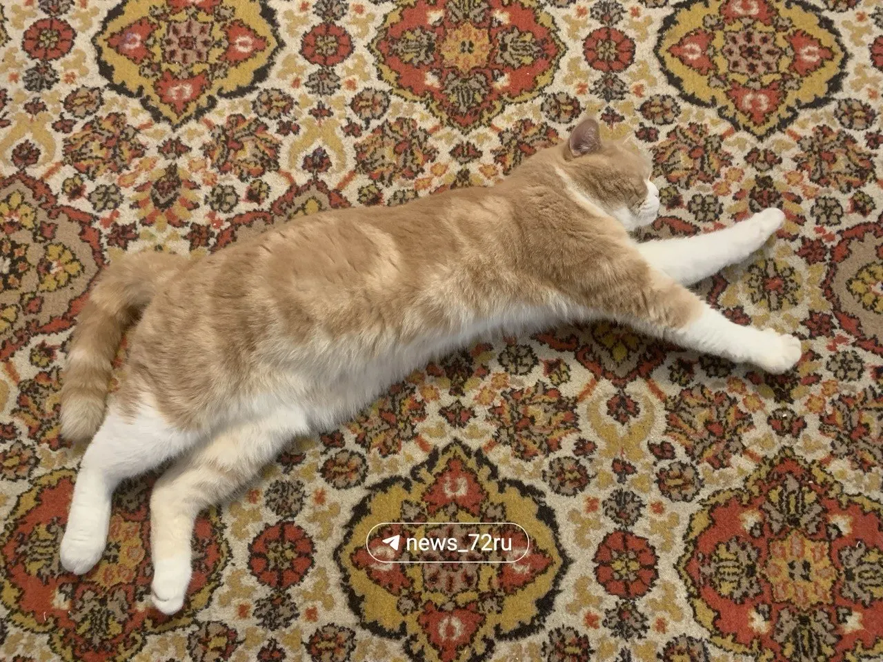 Короткий утренний прогноз: малооблачно, днем ожидается до +23 °C.