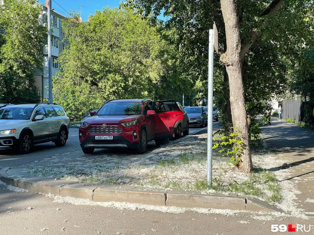 Из‑за продолжительной тёплой погоды тополя в Перми зацвели раньше обычного: пух заметно кружится по городу, дожди частично его смыли. По оценке директора ботсада, активный период продлится ещё около двух недель.