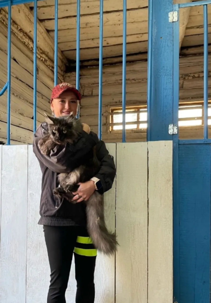 Во время празднования дня рождения женщина уехала на машине покататься по полю и не вернулась. Муж и родственники обнаружили автомобиль на берегу; семья открыла сбор на похороны.