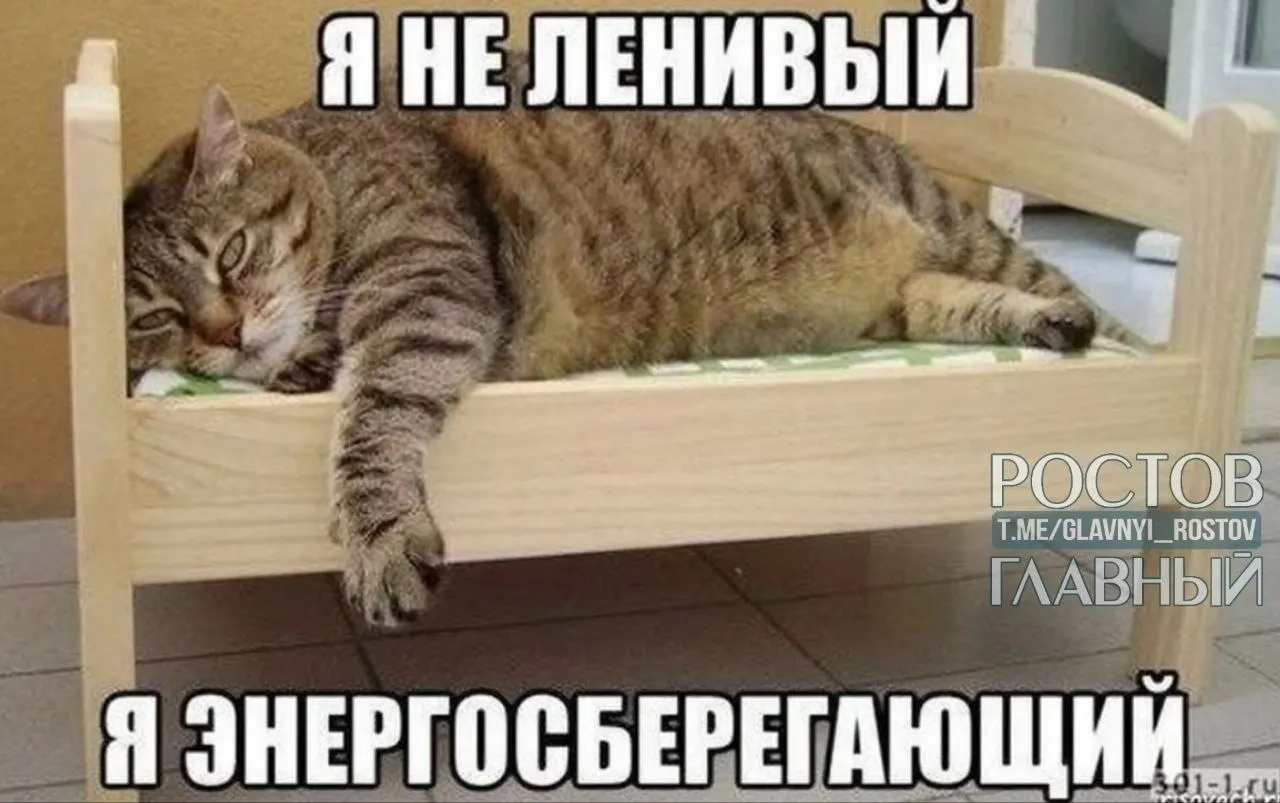 Опрос показал: чаще всего за сокращение рабочего дня выступают жители Нижнего Новгорода, Перми и Воронежа; в Санкт-Петербурге многие предпочли бы не работать вовсе, а в Краснодаре и Ростове-на-Дону заметно больше трудоголиков.
