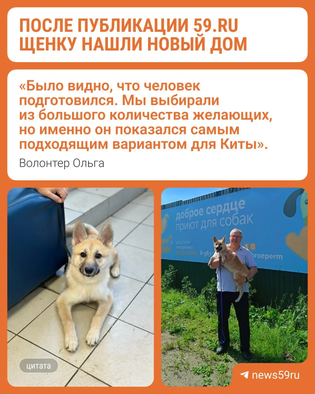Щенка акиты по кличке Кита, которую 10‑летний мальчик забрал у пьяных хозяев, забрал в семью опытный пенсионер. Благодаря общественному интересу приюту нашлись новые хозяева для ещё двух собак.
