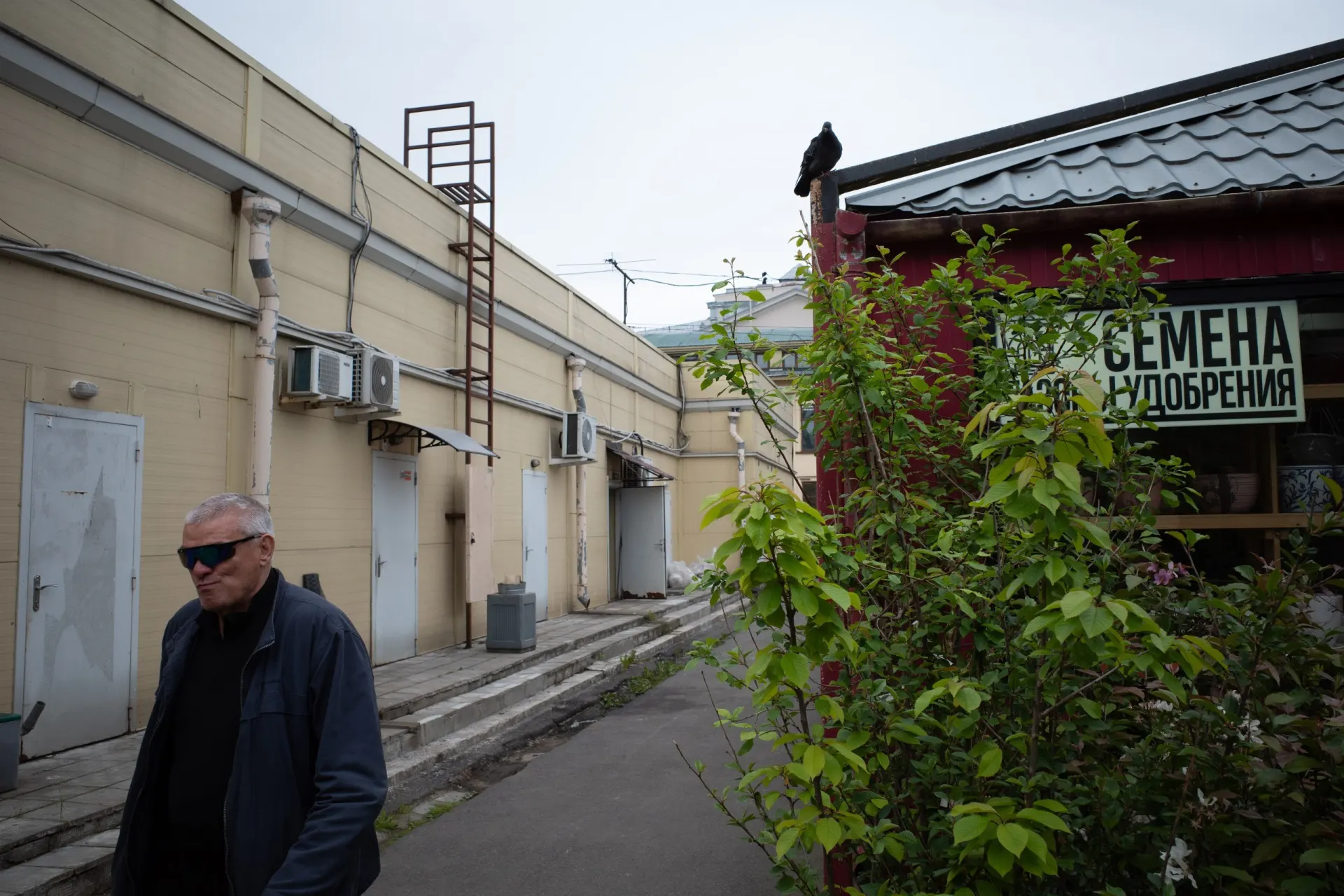 В Петербурге на время капремонта ограничат вход на «Нарвскую» по будням, горсуд назначил 12 лет по делу о поджоге тепловоза, а бар на Некрасова вновь вызывает жалобы. В мире — убийство художника в Польше, назначены выборы в Госдуму и временная блокировка Telegram в Индии.