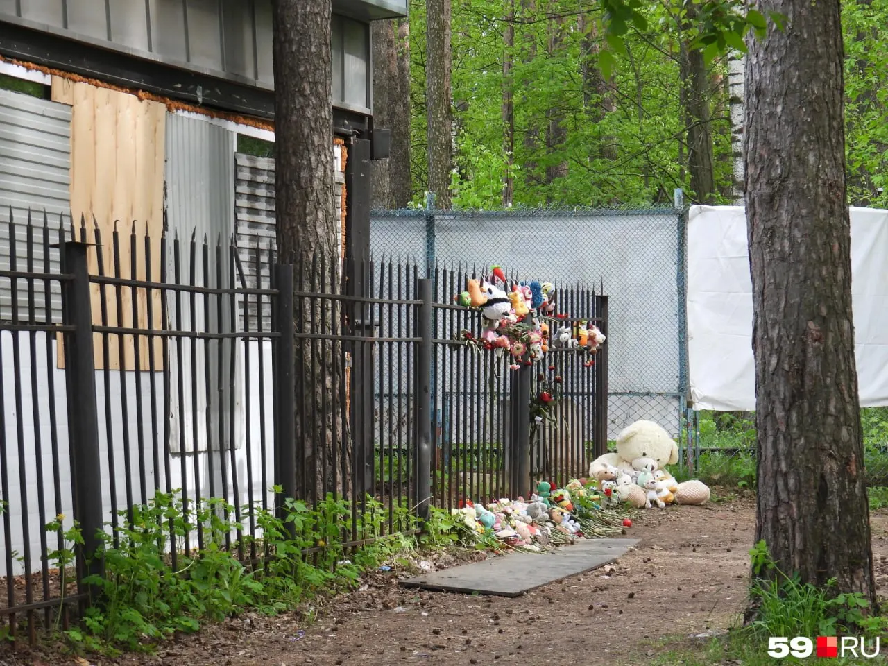 Председатель Следственного комитета потребовал отчёт о ходе расследования дела об убийстве молодой женщины в Закамске — в соцсетях возмущение после сообщений о прекращении уголовного дела.