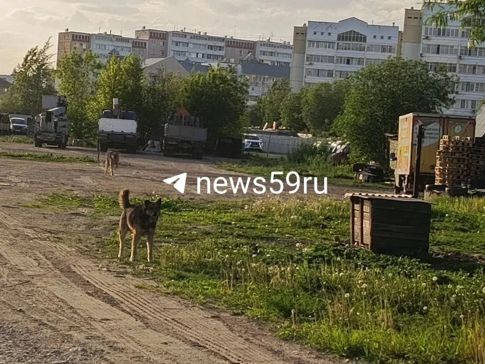 Ребёнок провёл в больнице месяц: пришитые ткани не прижились, развился некроз. Планируется пластическая операция и пересадка кожи с бедра и ягодицы.
