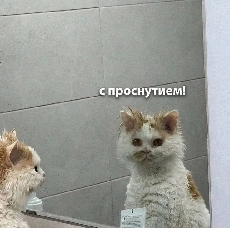 Днём ожидается небольшой дождь, температура воздуха поднимется до +23°С.