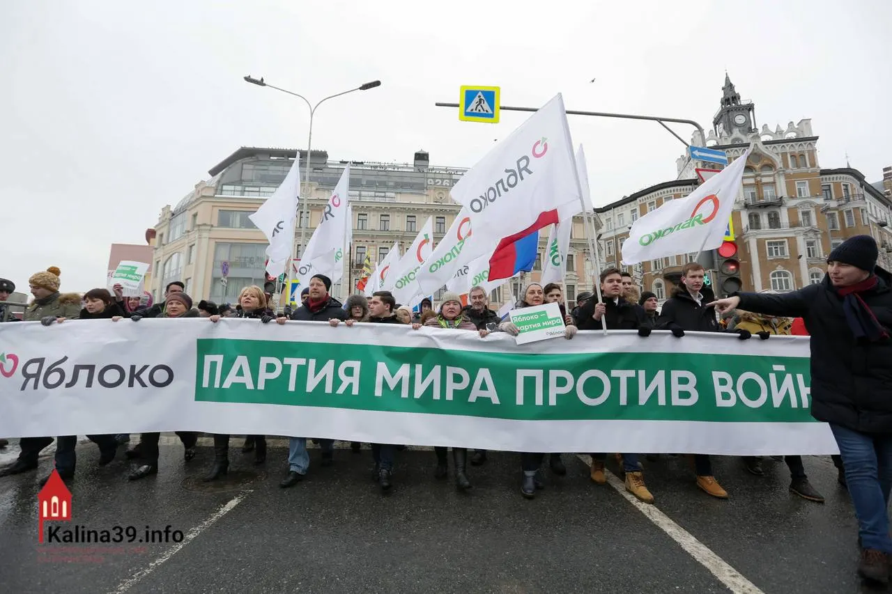 Регистрацию федерального списка «Яблока» объясняют желанием направить протестные настроения в безопасное русло; при этом многие видные члены партии лишены возможности баллотироваться.