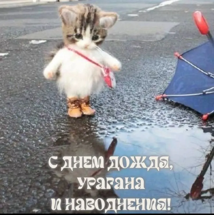 Пасмурно, ожидаются сильный дождь и гроза. Днём температура поднимется до +21 °C. Рекомендуется взять зонт и быть осторожнее на улице.
