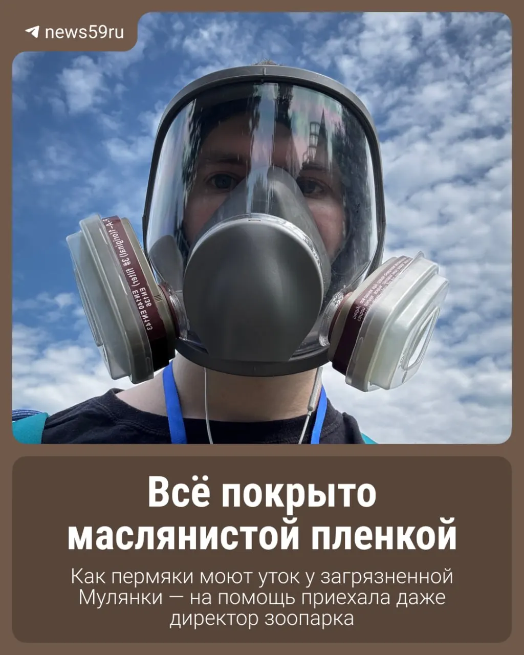 Реки в Перми покрыты масляной плёнкой и тёмными пятнами. Волонтёры и директор зоопарка помогают ловить и отмывать загрязнённых птиц; причины загрязнения выясняют специалисты.