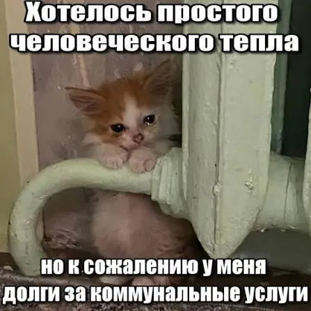 ВС подтвердил, что срок исковой давности по требованиям о взносах на капремонт — три года; суммы старше этого срока нельзя навязывать в платёжных документах и принудительно взыскивать.