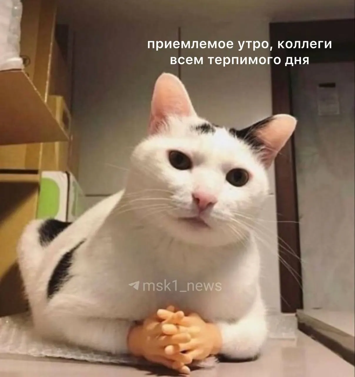 Утром облачно, ожидается небольшой дождь и гроза. Днём воздух прогреется до +26 °C.