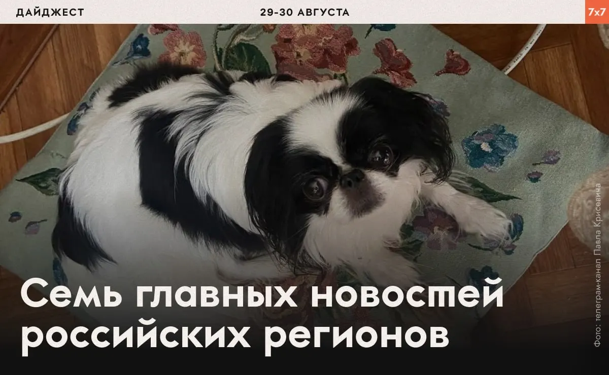 Короткий дайджест: принуждения политзаключённых, давление на активистов, запреты агитации и региональные решения.