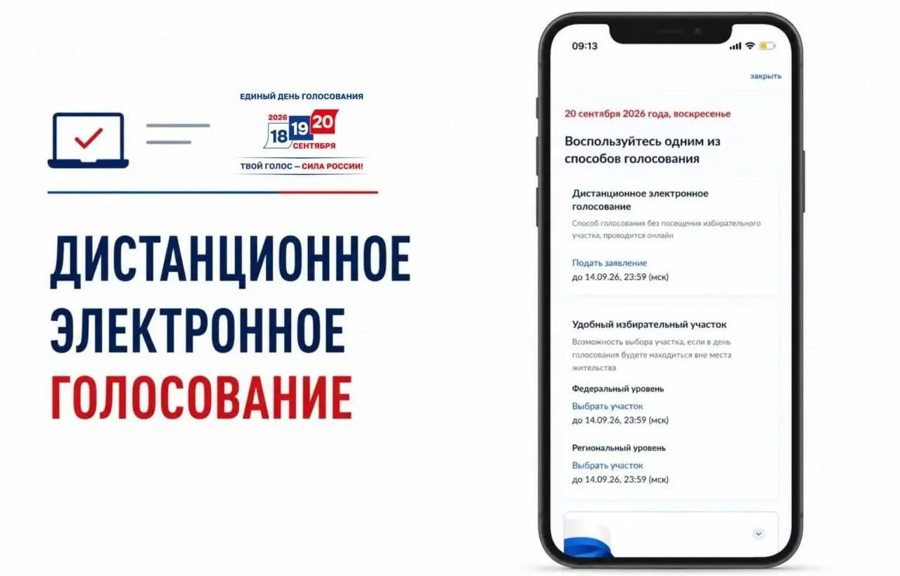 Критики обсуждают непрозрачность ДЭГ и риски манипуляций с голосами, сопровождаемые призывами к осторожности.