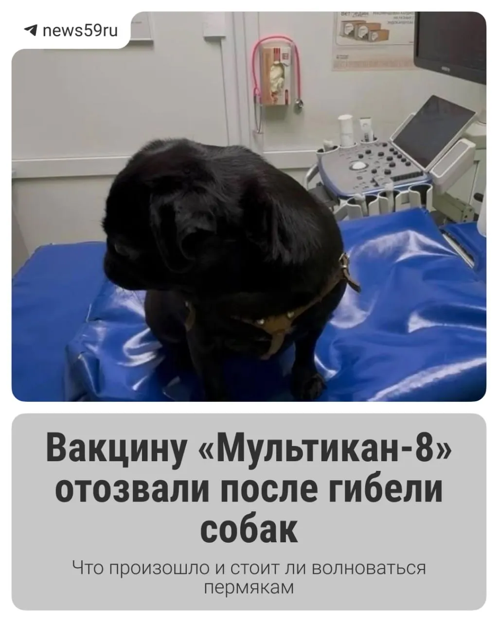 Производитель отозвал серию №20 вакцины; надзорные органы подключились к расследованию.