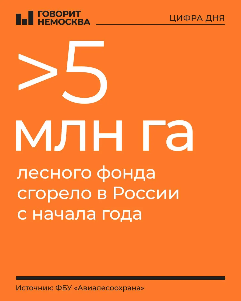 За год площадь лесных пожаров в России сопоставима с размерами небольшой европейской страны; крупнейшие очаги — в Дальнем Востоке и Сибири, тушение продолжается.