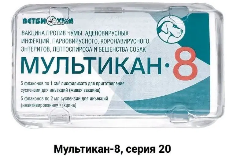 Владельцы собак, погибших после прививки вакциной «Мультикан-8», призывают к открытому расследованию и выражают подозрения в давлении на лаборатории.