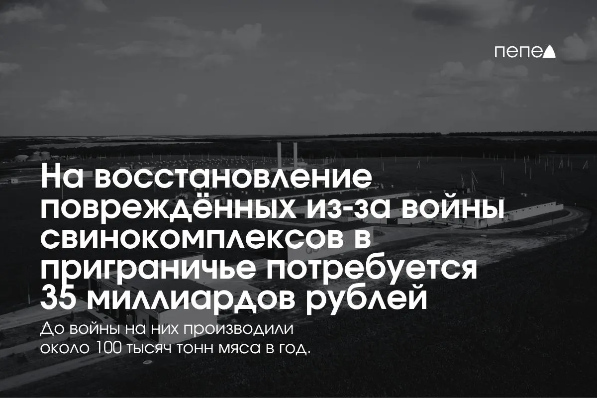 В ходе пресс-конференции обсудили траты на безопасность, ремонт и возобновление производства свинины в Белгородской, Курской и Брянской областях.